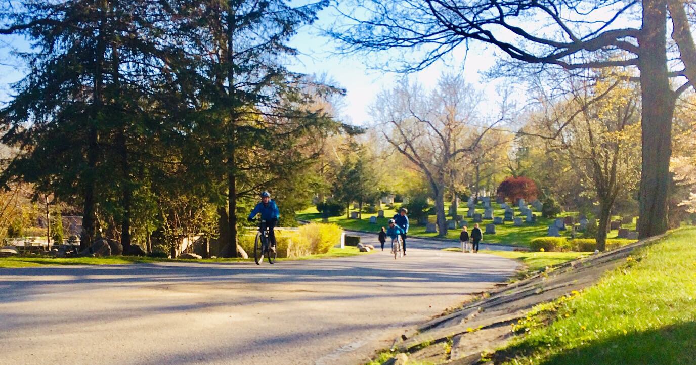 A photo of people walking and biking on a wide path beneath tall trees in the sun light.